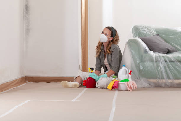 Reliable Mold Testing contractor in Jefferson, OR by WQB Mold Removal